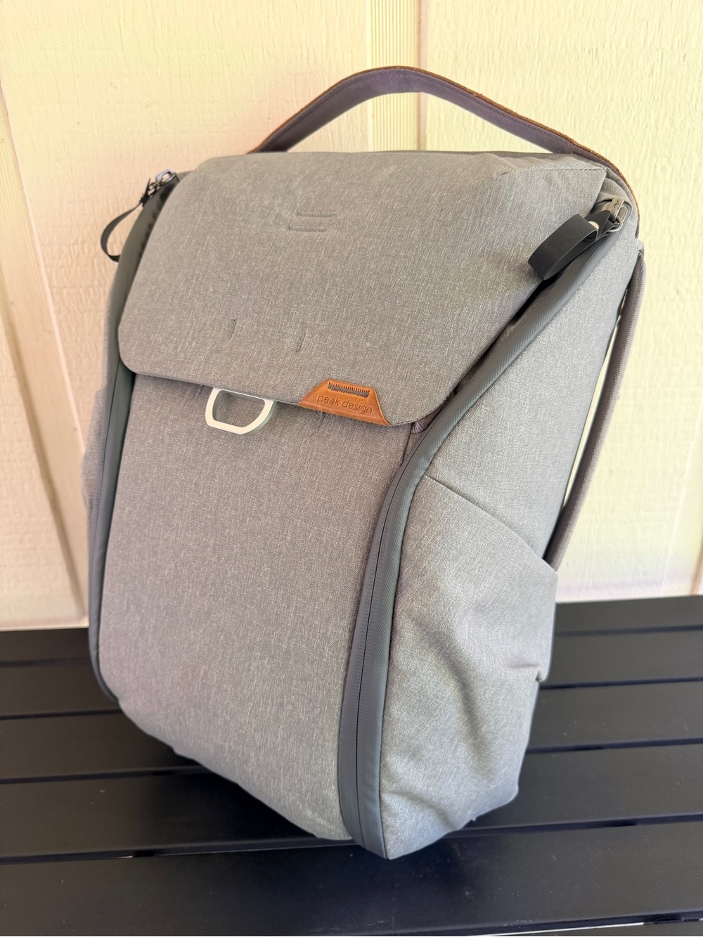 Peak Design Everyday Backpack 20L V2 Ash Camera Bag